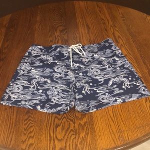 American Eagle Board Shorts